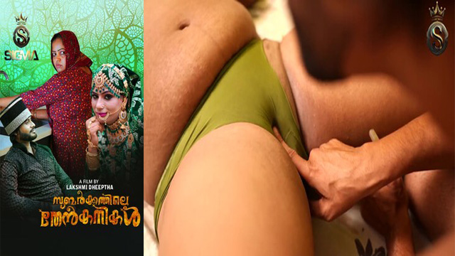 Subarkkathile Then Kanikal 2025 – Malayalam Letest Short Film Viral Videos – Sigmaseries